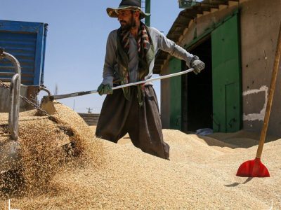 واریز بخشی از مطالبات گندم‌کاران